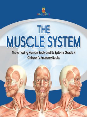 cover image of The Muscle System--The Amazing Human Body and Its Systems Grade 4--Children's Anatomy Books